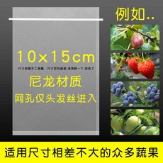 무화과 배 봉지 그물 과수원 포장지 과일싸개 사과, 토마토 무화과 등 10x15cm 봉지 100개(, 10x15cm/100개