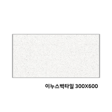이누스벽타일