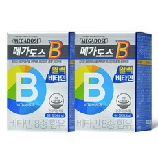 고려은단메가도스b