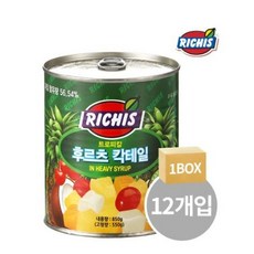 (주)동서 리치스 트로피칼 후르츠 칵테일, 850g, 12개입