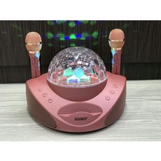 블루투스마이크 SD308마이크 가정용 KTV휴대용 노래 기계무선 마이크 블루투스 음향일체형, T02-핑크+(뉴버전 마이크)