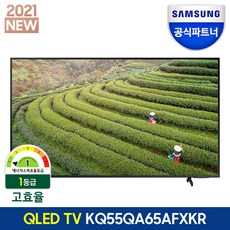 삼성qled4k55