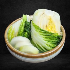 국내산 이선희 명인 백김치 5kg