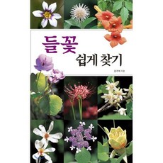 기억속의 들꽃, 다림 경산