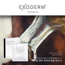 엑소덤마스크팩