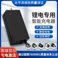 리튬 배터리 전기 삼륜차 충전기 48V36V60V24V2A72V 농업용카트 삼륜오토바이 베터리, 고급형 36V2A XLR 커넥터