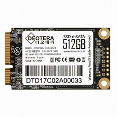 디오테라 VIVA 300S LITE mSATA SSD (512GB), 1개, 512GB, 선택하세요