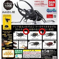 이키수영복