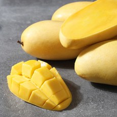 슈트드로잉윤예주
