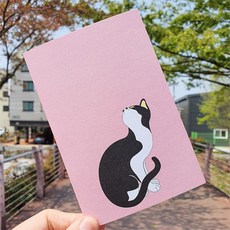 대구민화