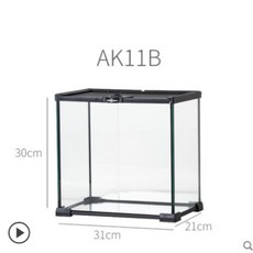 크레스티드게코렉사