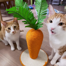 페트병물로켓발사대