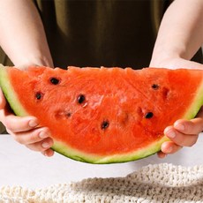 맹동수박-추천-상품