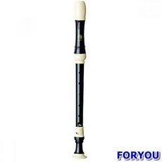 초등학교악기수업