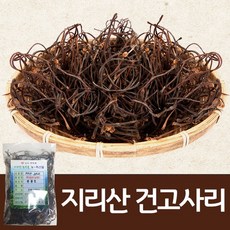 지리산고사리