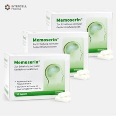 두뇌발달기억력