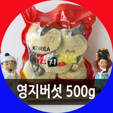 SC1 국내산 영지버섯 500g 절편 한국산, 1개