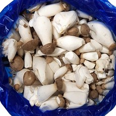 무지개닷컴 총알 새송이버섯 2kg 1kg 총알버섯 버섯, 01. 총알 새송이버섯 1kg