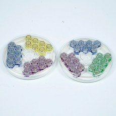 큐브ges