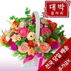 대박플라워 아기자기 꽃바구니 생일선물 기념일 출산꽃선물 병문안 꽃배달