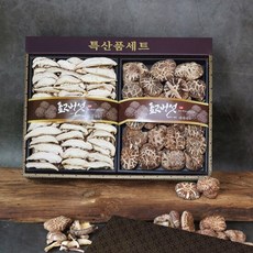 영동 표고버섯선물세트 표고세트250g, 1개