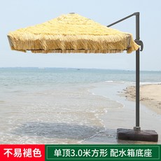 등조 사파리 띠풀 비치 정원 실외 하와이 관광지 풀치 볏짚 로마