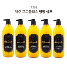 제이몰 명품 모발 영양케어!! 미쟝센 제주 프로폴리스 샴푸 린스780mL 손상모발용, 제주 프로폴리스샴푸 - 5개