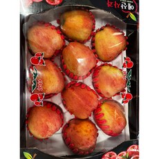 사과 홍로 아리수 추석사과 사과세트 추석선물 3kg 5kg [원산지:국산], 1박스, 사과세트 5kg (10~13개)