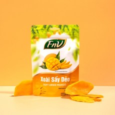 베트남 건망고 말린 망고 건과일 100g* 10팩 진솔통상 델리망고, 100g, 10개