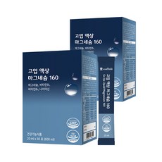 고업 액상 마그네슘160, 600ml, 2개