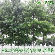 b161c4c9f0f20a111eb8e94bdb2bc52fde9bcdabb2701e2abd386a974a21.JPG