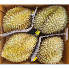 Thailand 태국 생 두리안 최상급 fresh Durian 10kg (3/4pcs)랜덤, 10kg (3~4pcs), 1박스