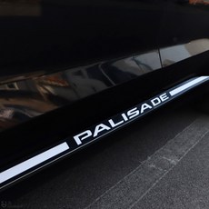 팰리세이드에어댐