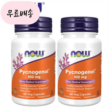 (1+1) 나우푸드 피크노제놀 파인바크 호팍사 나우푸땡 Pycnogenol 100mg 60정, 2개, 60개