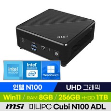 MSI Cubi N100 ADL 미니PC 베어본 가성비 산업용 소형컴퓨터, 8GB, 윈도우11 포함, 1280GB