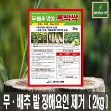 다듬배추