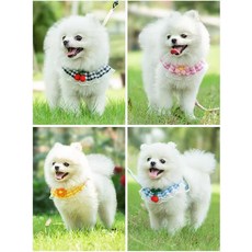 [멍스타그램 각] 강아지 하네스 가슴줄 조끼형 소형견 산책 아이템, 1. 블루줄, S (3.5kg 이하)