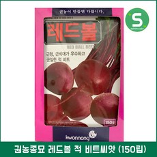비트씨앗 150립 레드볼 적비트씨앗 빨강비트 비트씨