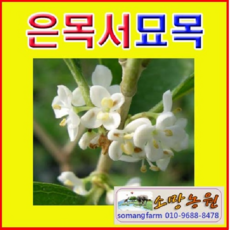 a1bfa3278271dfcd17506374dbe2f6a3b1c27980929cef85b27e567cc2c3.jpg