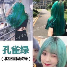 폴라리스비르고