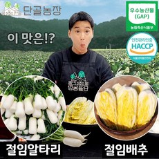 [예약배송] 해남 무안 등 국내산 총각김치용 절임 알타리 무, 절임알타리 / 10kg