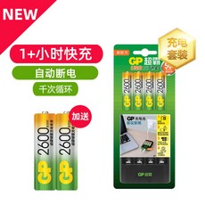 gp2000배터리