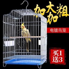 ab0077c0ca283025a20836ccf1db9cb81846901ca3894377ed5cc3b4a6b6.jpeg