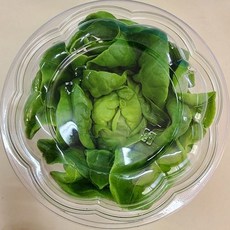 아쿠아포닉스쌈