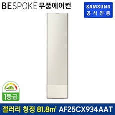 삼성 비스포크 무풍에어컨 무풍갤러리 청정 스탠드 AF25CX934AAT[기본설치비무료], 1. 일반배관
