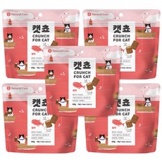 네츄럴코어 캣쵸 고양이간식 70g, 5개, 참치맛