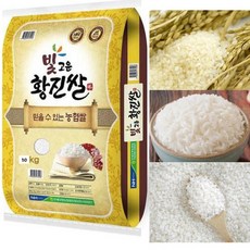 황진쌀