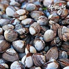 식탐대첩 국내산 보성 벌교 세척 새꼬막 소 1kg, 1개