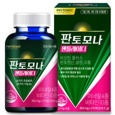 판토모나레이디