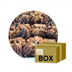 국내가공 구운 숏다리 10kg, 1개